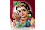Abhishekam for Bala Murugan